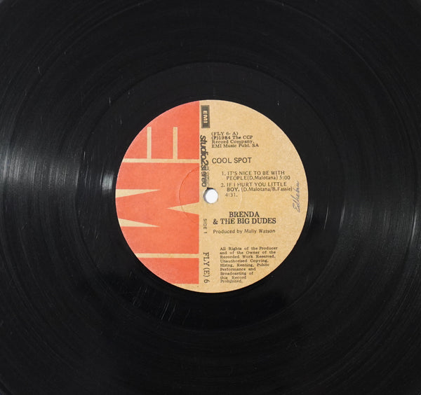 Brenda and the Big Dudes - Cool Spot (LP)